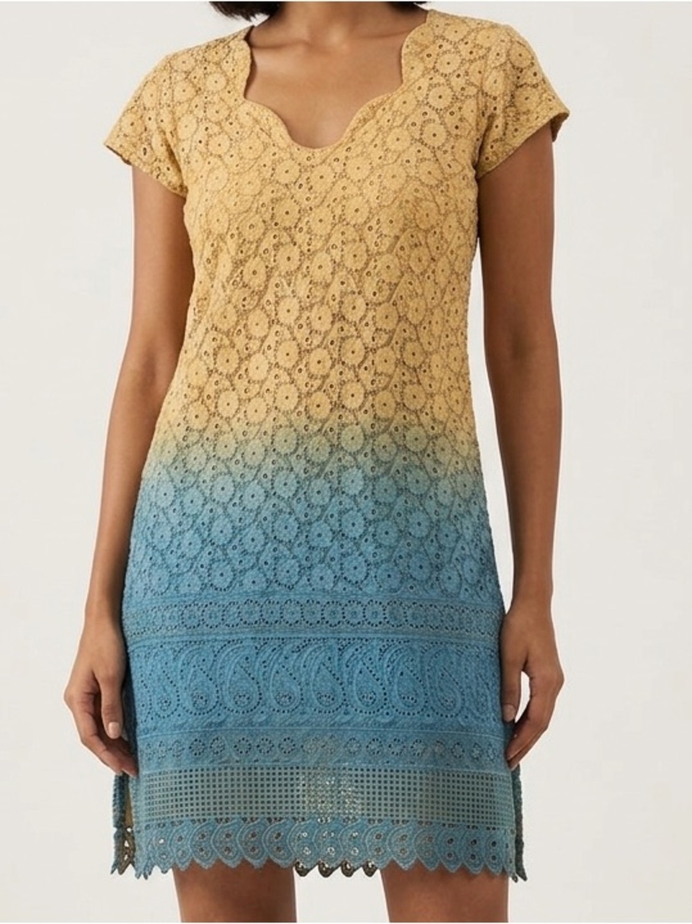 Stunning Ombré Embroidered Kurta Size Small